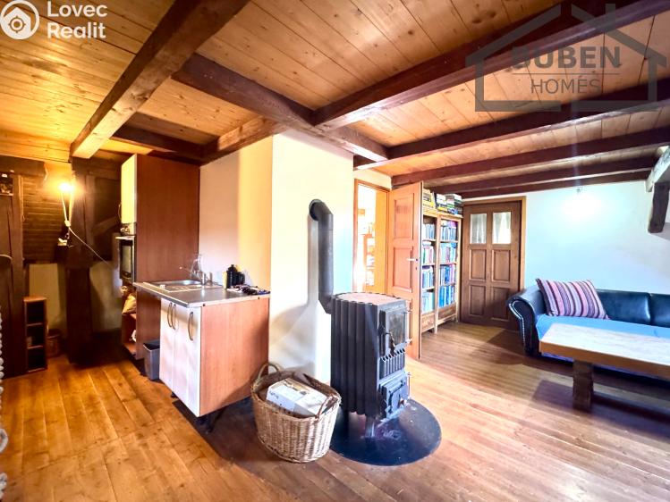 Sale multi-gen house Bor č. 38