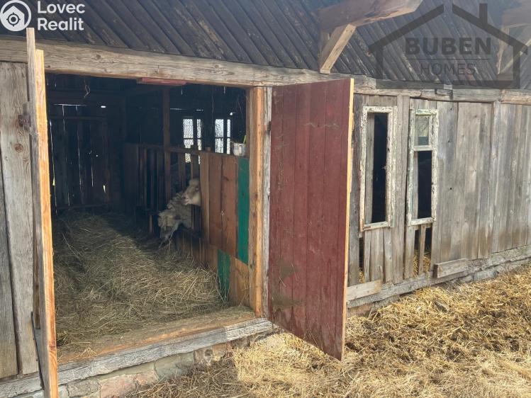 Sale multi-gen house Bor č. 52