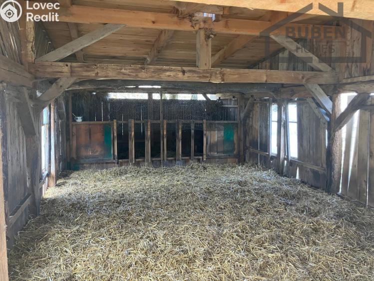 Sale multi-gen house Bor č. 55