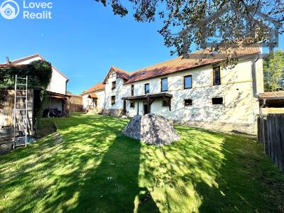 Продаж багатогенного будинку Bor č. 3