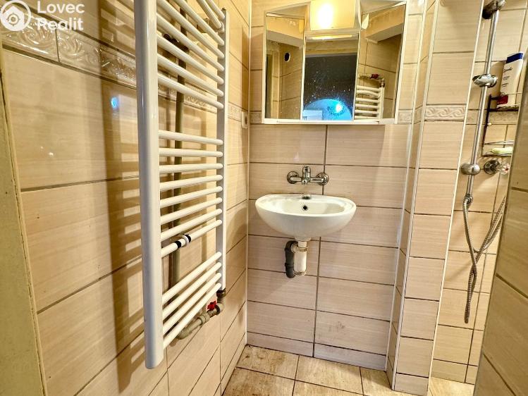 Sale multi-gen house Dlouhý Újezd č. 19