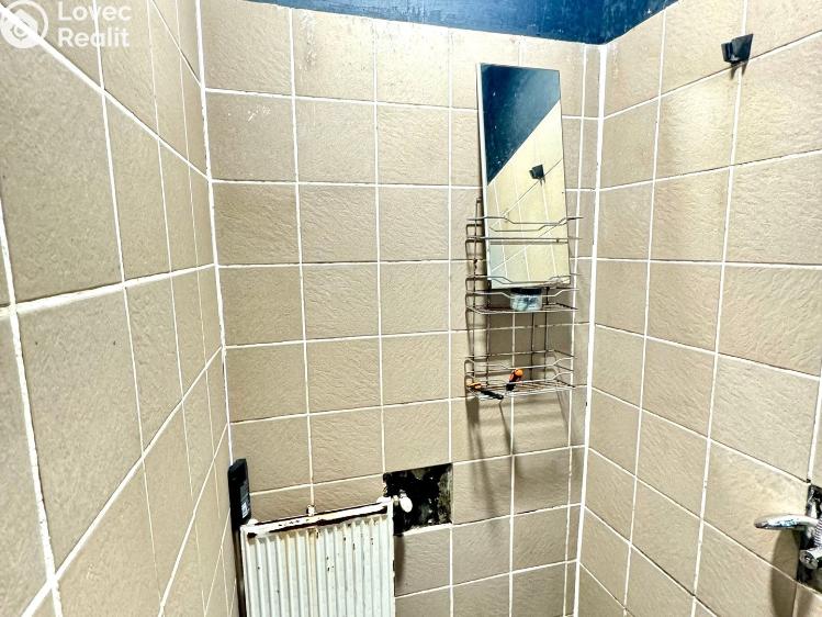 Sale multi-gen house Dlouhý Újezd č. 22