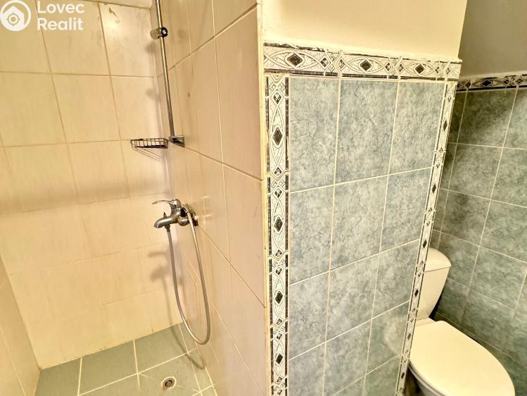 Sale multi-gen house Dlouhý Újezd č. 24