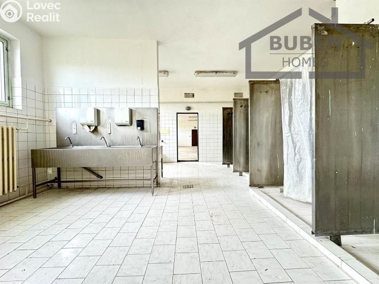 Prodej výrobní haly Lom u Tachova č. 11