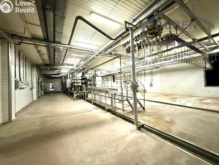 Prodej výrobní haly Lom u Tachova č. 14