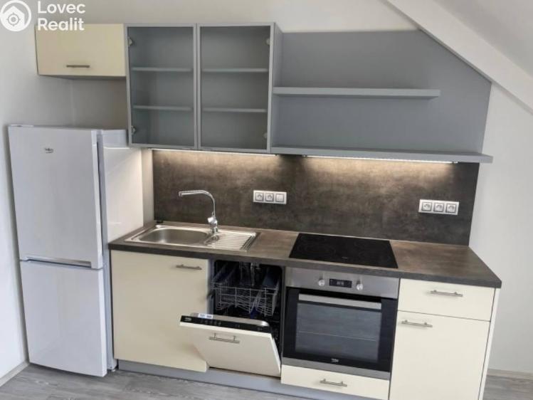 Pronájem bytu 1+KK Praha č. 9