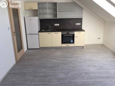 Pronájem bytu 1+KK Praha č. 1