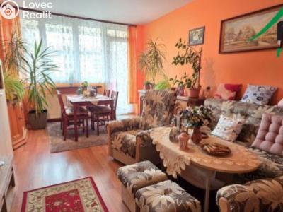 Prodej bytu 3+1 Chodová Planá, sídliště Lučina č. 2