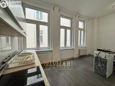 Оренда квартири 1+KK Teplice, Krupská č. 3