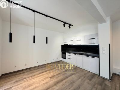 Оренда квартири 2+KK Teplice, Masarykova třída č. 13