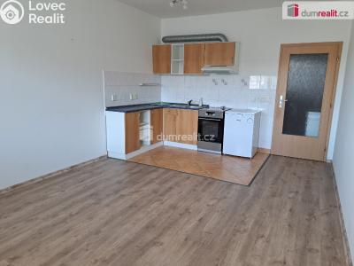 Аренда квартиры 1+KK Ústí nad Labem, Baráčnická č. 3