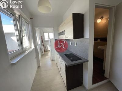 Pronájem bytu 1+KK Ostrava, Opavská č. 1