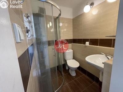Pronájem bytu 1+KK Ostrava, Opavská č. 4