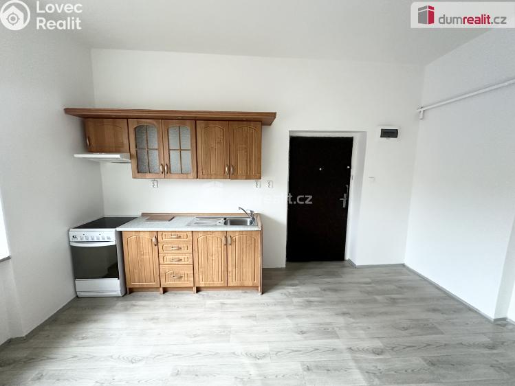 Аренда квартиры 1+1 Bystřany, Pražská č. 1