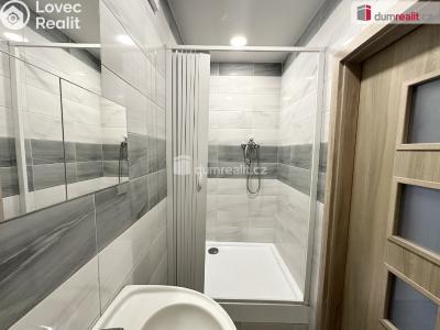 Аренда квартиры 1+1 Bystřany, Pražská č. 3