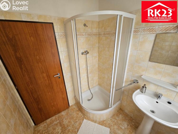 Pronájem ubytovacího zařízení Mariánské Lázně č. 10