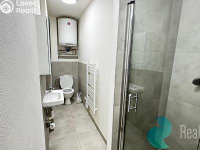 Аренда квартиры 1+1 Kaplice, Omlenická č. 2