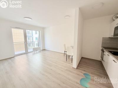 Аренда квартиры 2+KK České Budějovice, Na Zlaté stoce č. 3