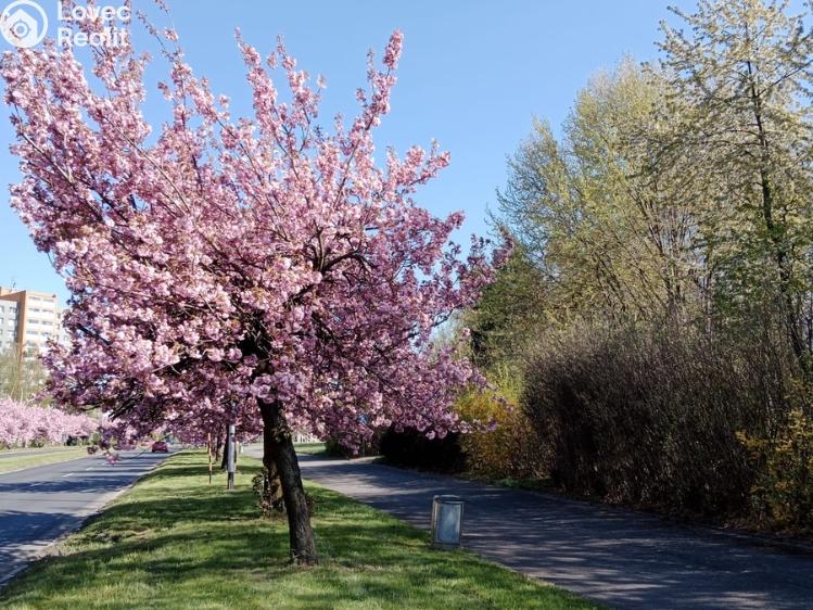 Prodej bytu 3+1 Karviná, Studentská č. 18