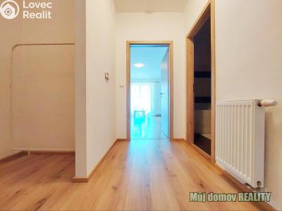Аренда квартиры 1+KK Holubice, K Višňovce 200 č. 1