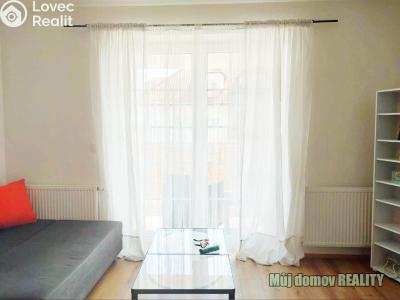 Аренда квартиры 1+KK Holubice, K Višňovce 200 č. 4