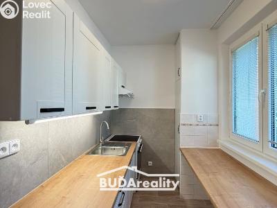 Аренда квартиры 2+1 Zlín, Mlýnská 813 č. 3