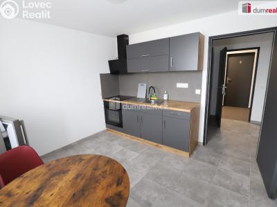 Аренда квартиры 1+1 Přimda č. 2