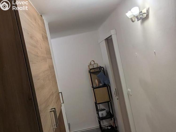 Pronájem pokoje Mladá Boleslav, Palackého č. 4