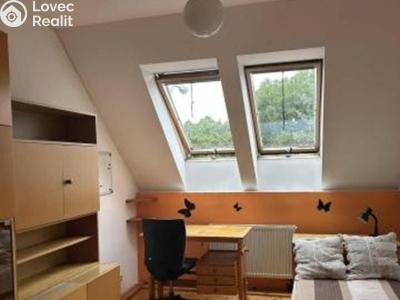 Rent room Brno, Nopova č. 1