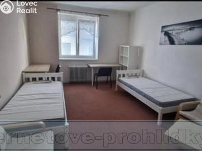 Rent room Brno, Elgartova č. 1