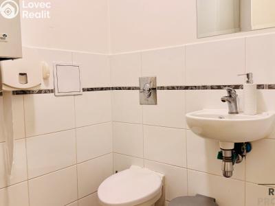Продаж торгового приміщення Praha, Jeseniova č. 10