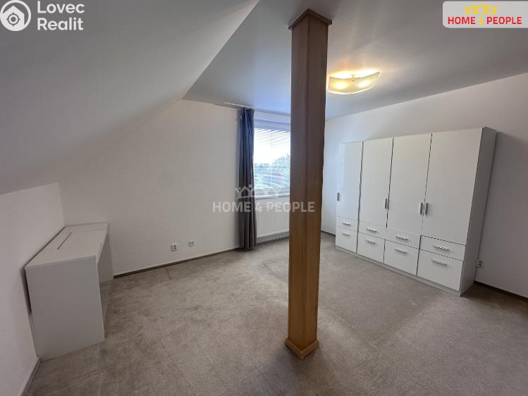 Rent family house Dolany č. 12