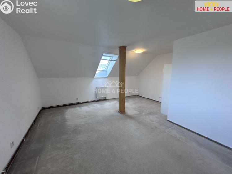 Rent family house Dolany č. 21