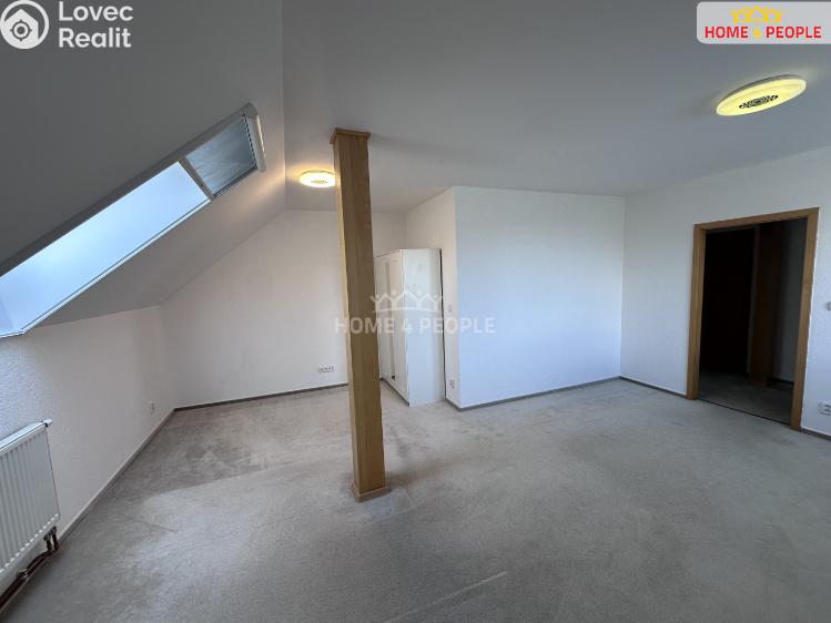 Rent family house Dolany č. 22