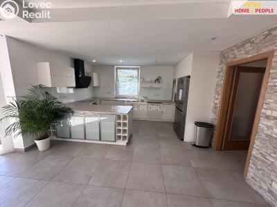 Rent family house Dolany č. 2