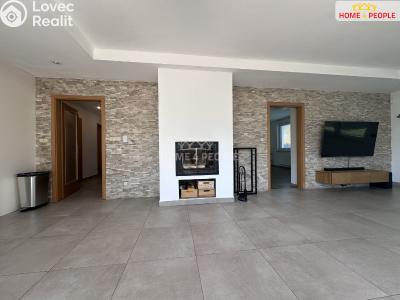 Rent family house Dolany č. 4