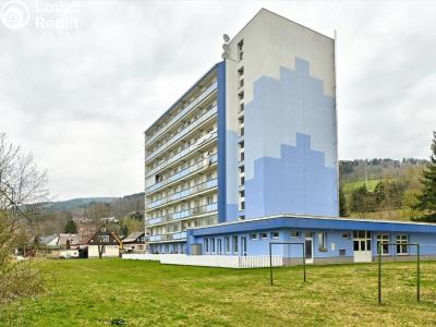 Prodej bytu 1+KK Vrchlabí, Horská č. 9