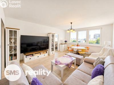 Prodej bytu 3+1 Frýdek-Místek, Novodvorská 3054 č. 3