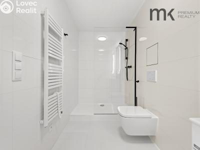Оренда квартири 1+KK Praha, Na bitevní pláni č. 11