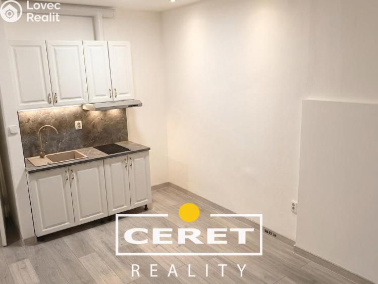 Sale commercial properties Žatec, Nákladní 3121 č. 16