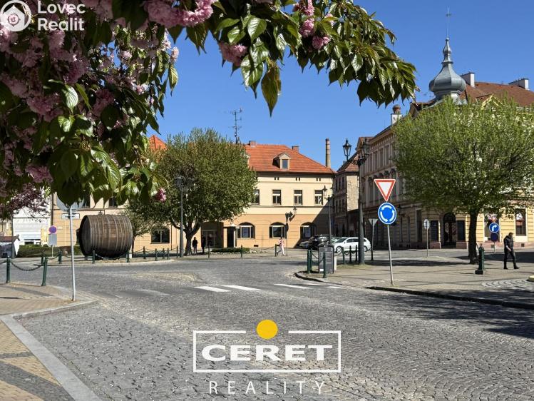 Sale commercial properties Žatec, Nákladní 3121 č. 24