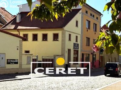 Prodej komerční nemovitosti Žatec, Nákladní 3121 č. 1