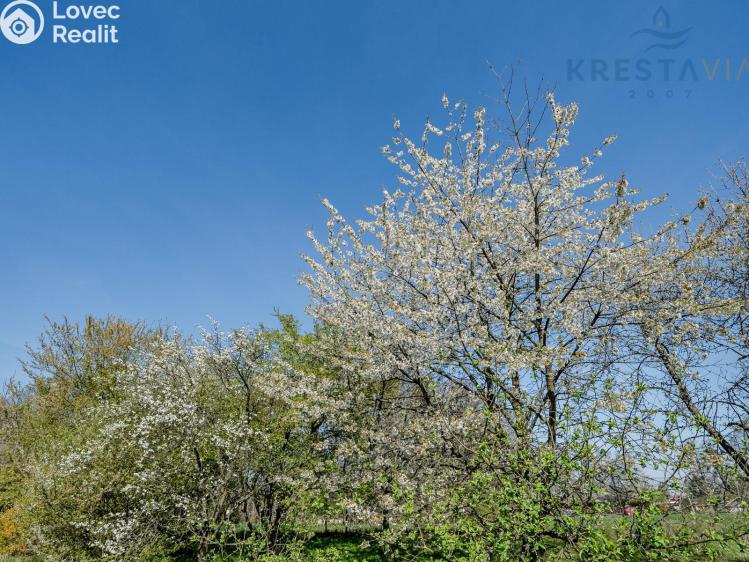 Prodej chaty Ostrava, Slínová č. 13