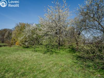 Продаж хатини Ostrava, Slínová č. 11