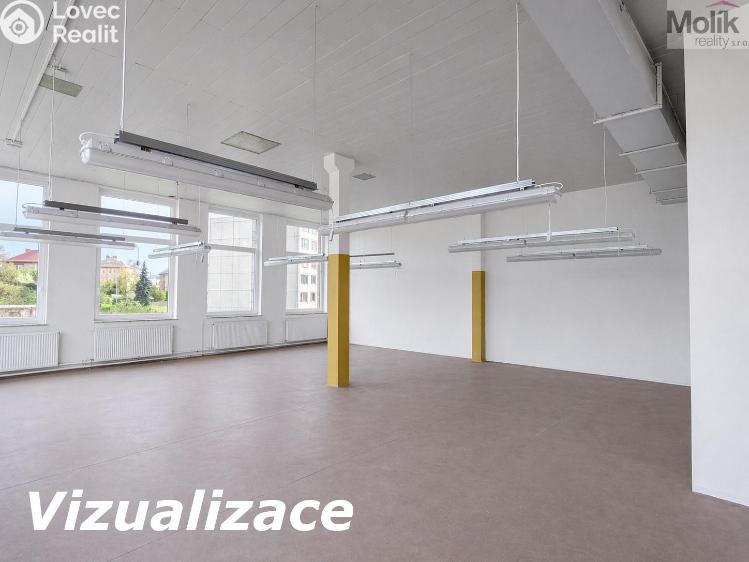 Pronájem výrobní haly Teplice, Thámova 1052/25 č. 5