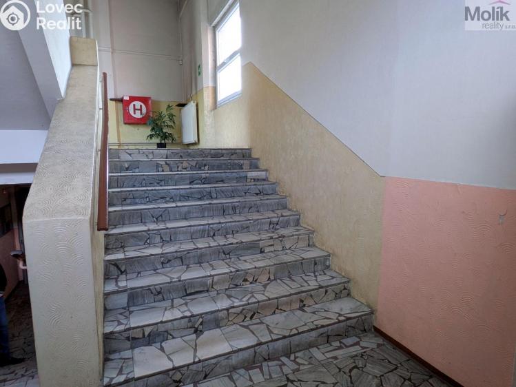 Pronájem výrobní haly Teplice, Thámova 1052/25 č. 11