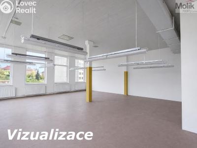 Pronájem výrobní haly Teplice, Thámova č. 5