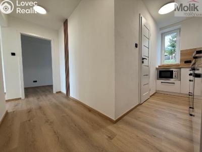 Pronájem bytu 3+1 Meziboří, Májová č. 2