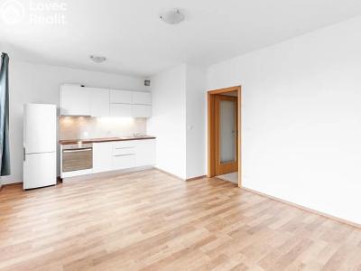 Оренда квартири 1+KK Praha, Na Maninách č. 10
