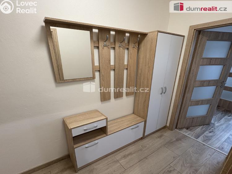 Pronájem bytu 1+1 Jílové, Okružní č. 6